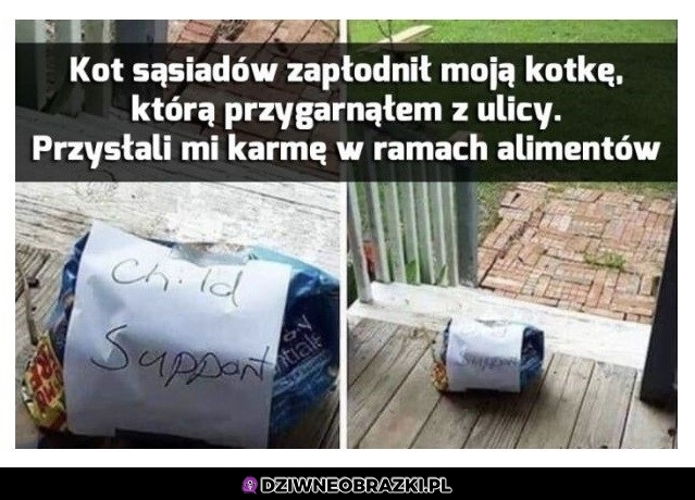 Prawidłowo!