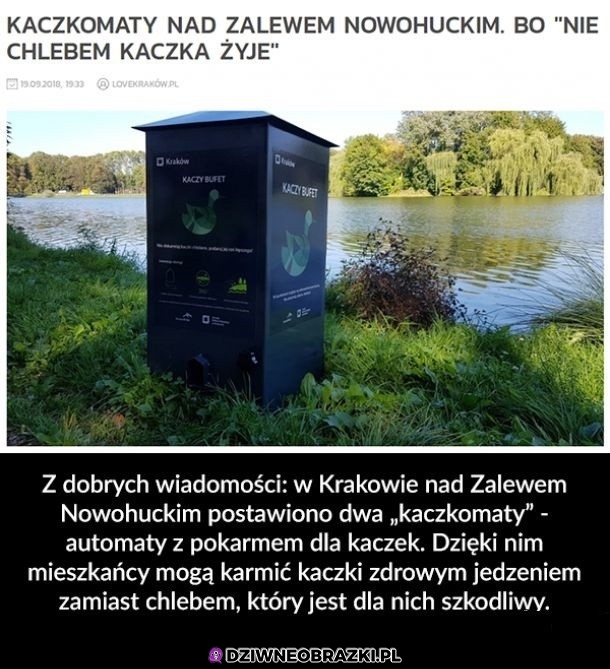 Fajny pomysł