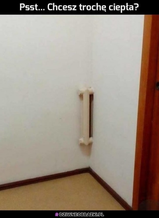 Przyczajony 