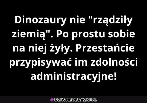 Właśnie