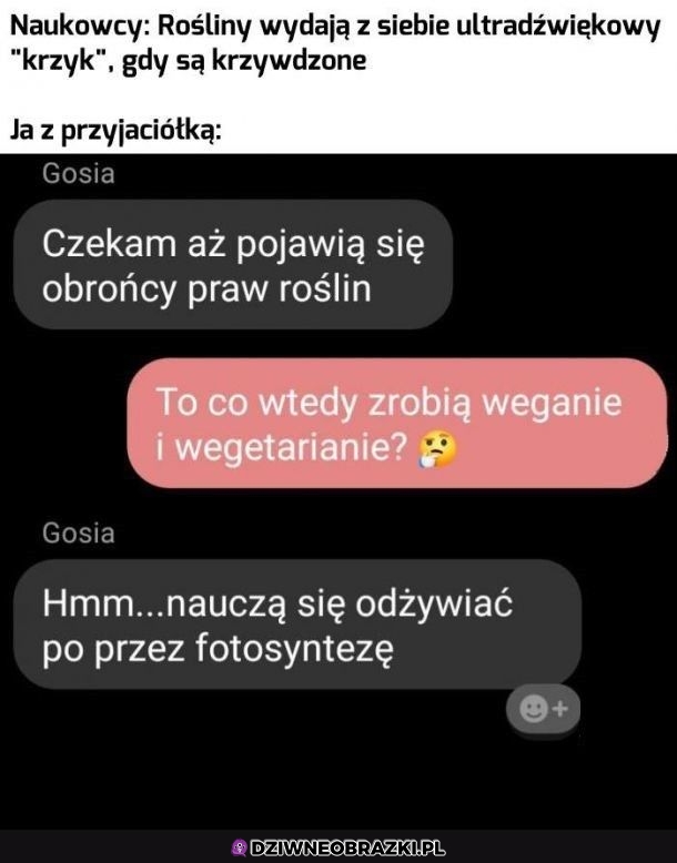 Co wtedy zrobią weganie?