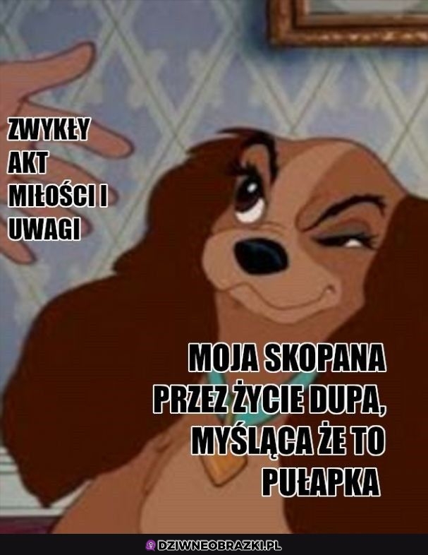Zawsze