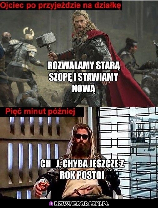 Przyjazd na działkę