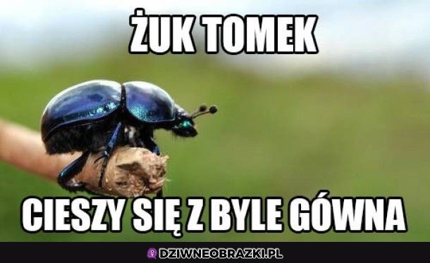 Bądź jak Tomek