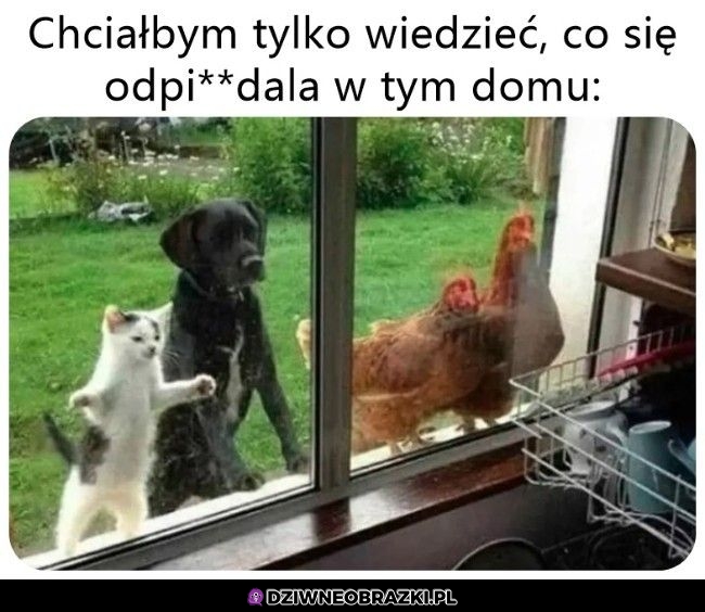 Co tam się wyrabia?