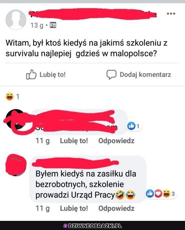 Survival po Polsku