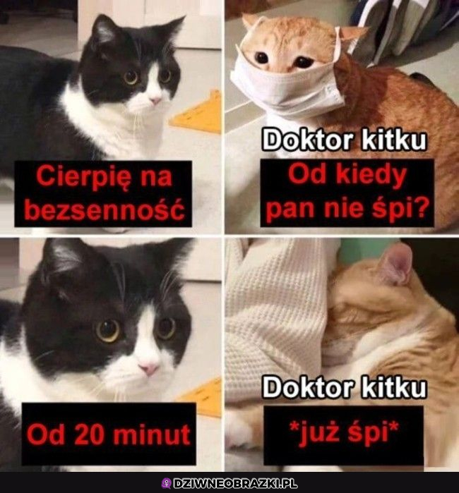 Kiedy zaczyna się bezsenność?