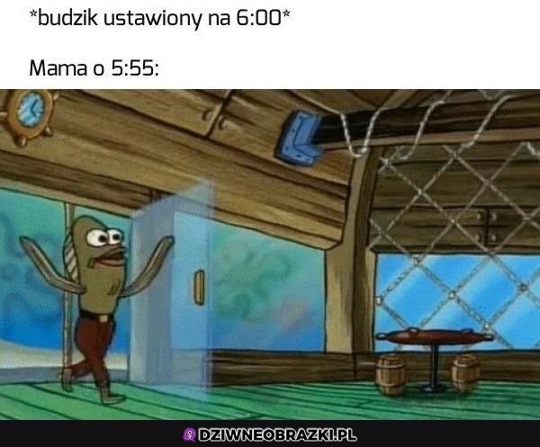 Czego jeszcze śpisz