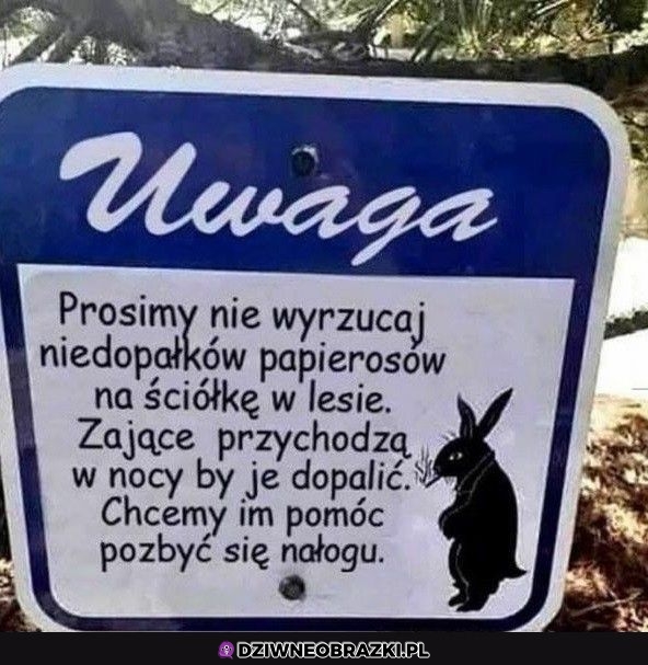 Ważne info