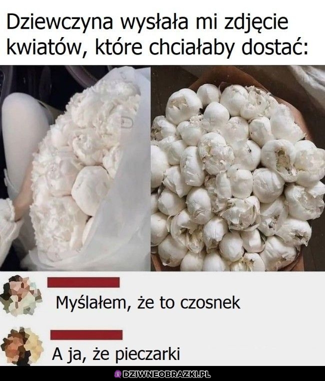 Kwiatki