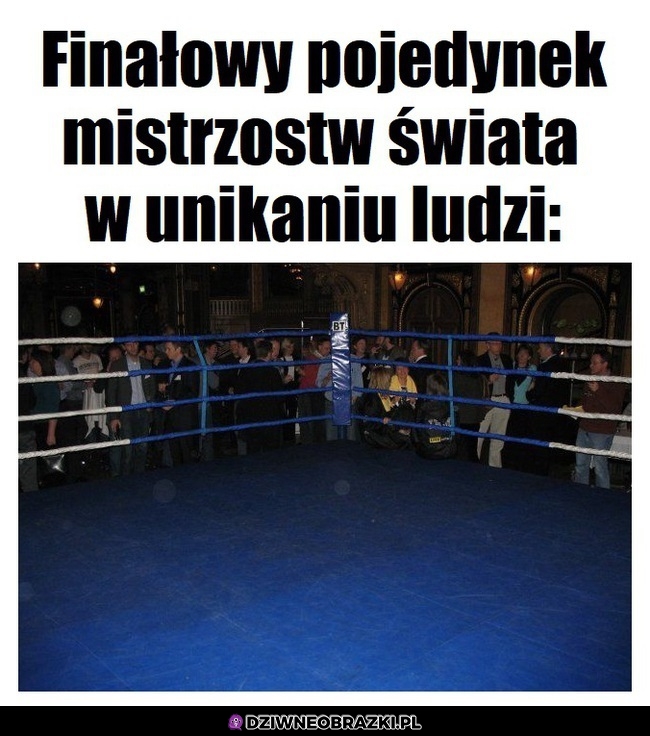 Prawdziwi mistrzowie