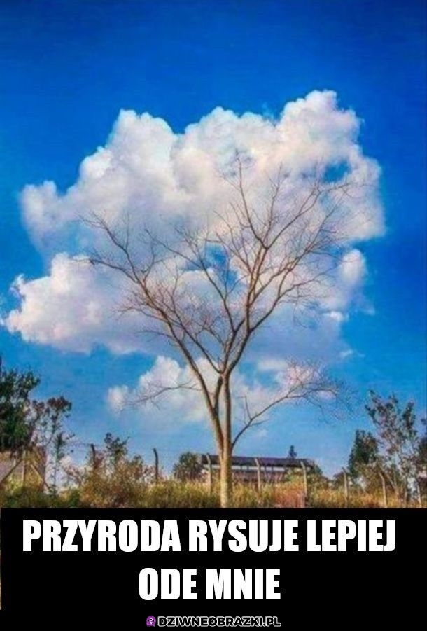 Bez kitu