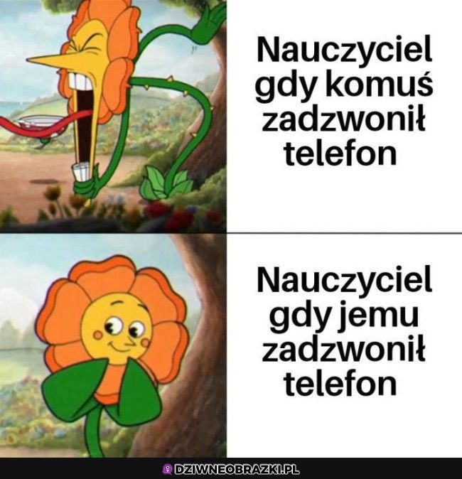 Ojej