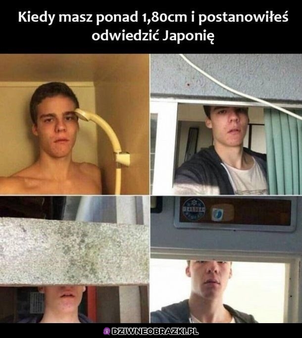Dryblas w Japonii