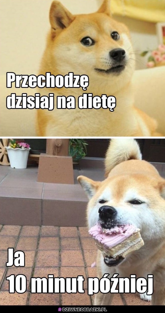 Ja na diecie
