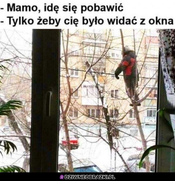Idę na podwórko