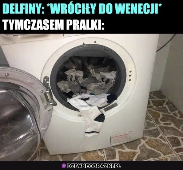 Wielkie powroty