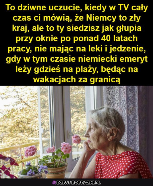 Tv tylko ogłupia, włączyć mózgi ludziska 