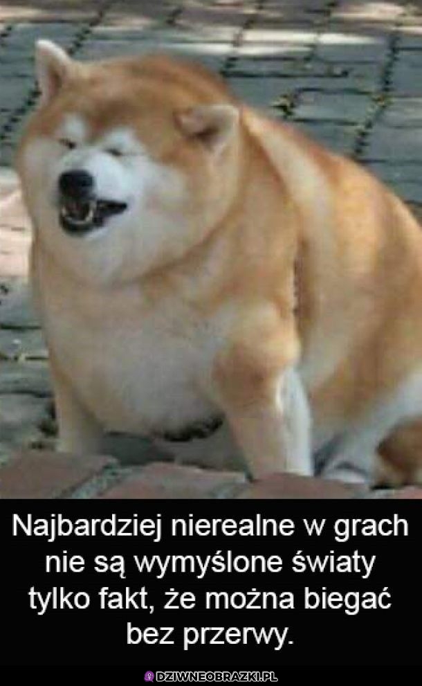 To jest nierealne