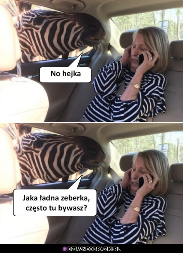 Hejka