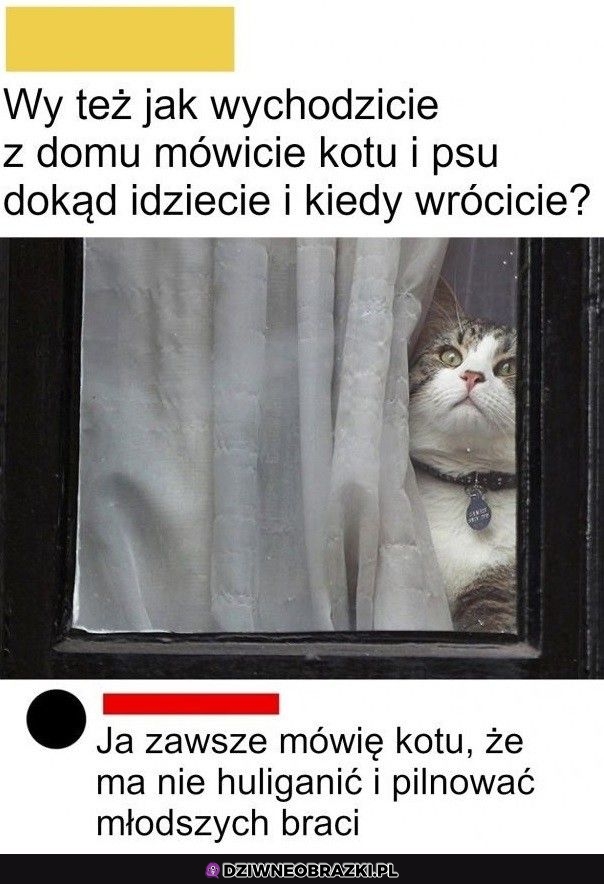 Tak robię