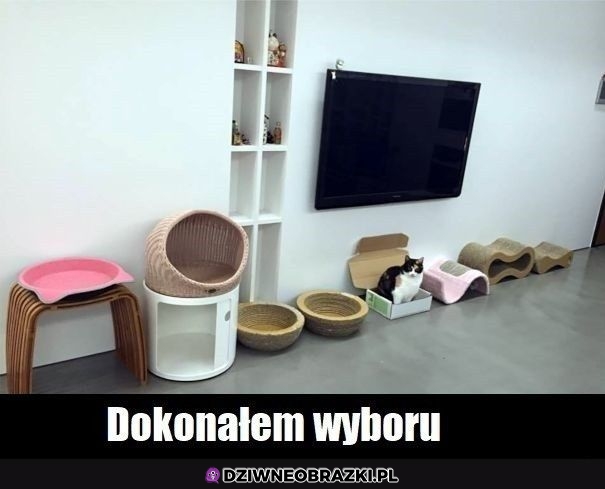 Dzięki człowiek