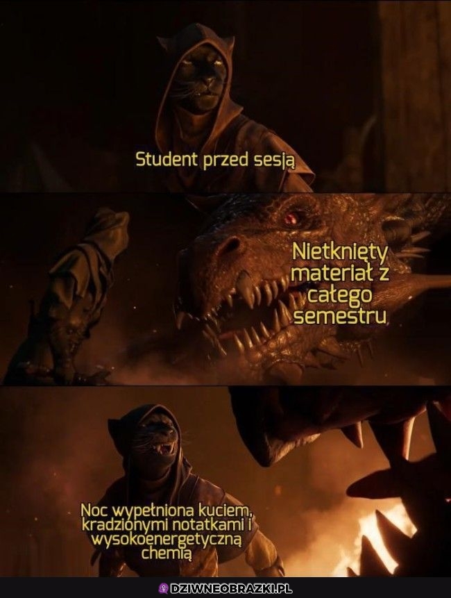 Studenty