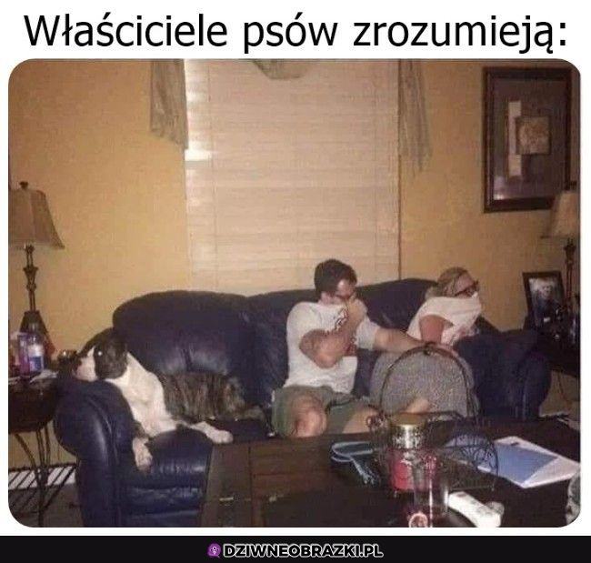 Poszedł śmierdziuch