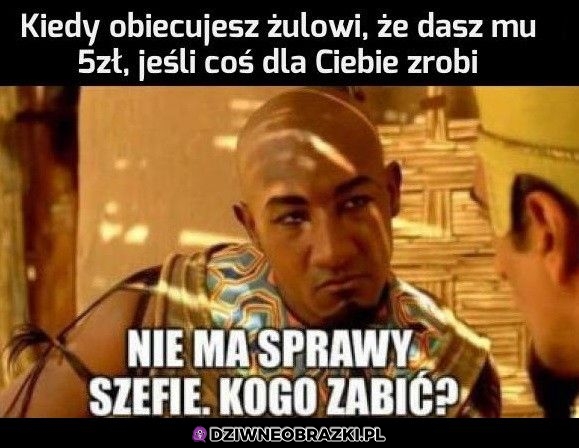 5tka dla żula