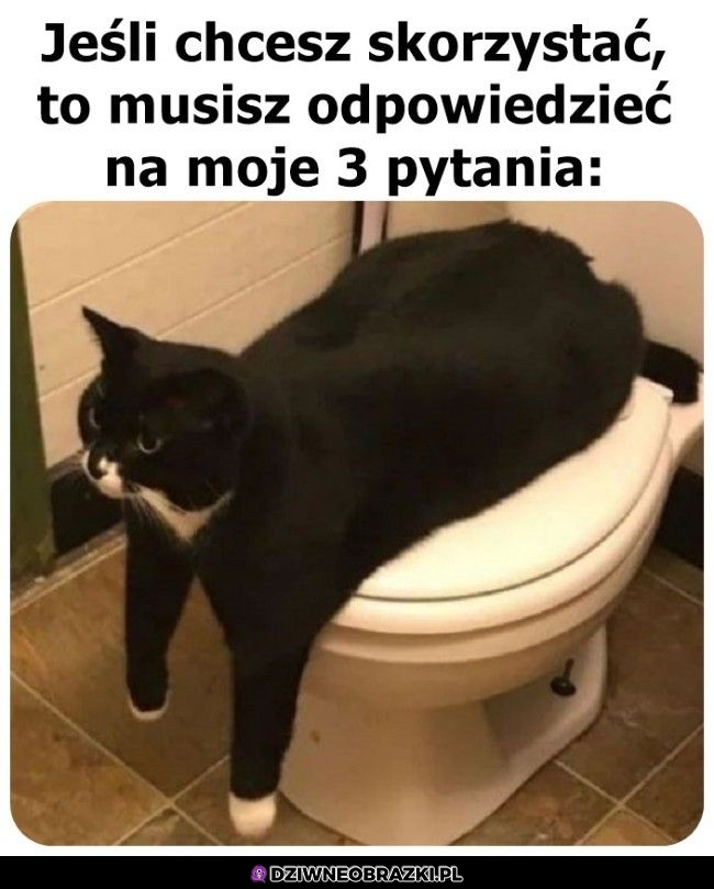 Nie ma srania bez pytania