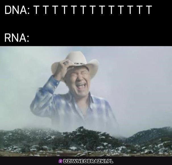 Dna