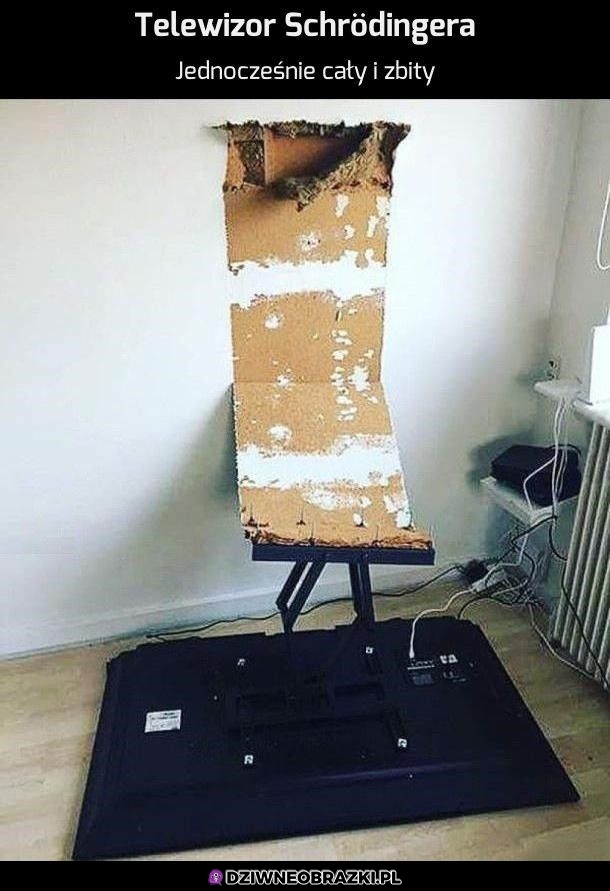 Telewizor