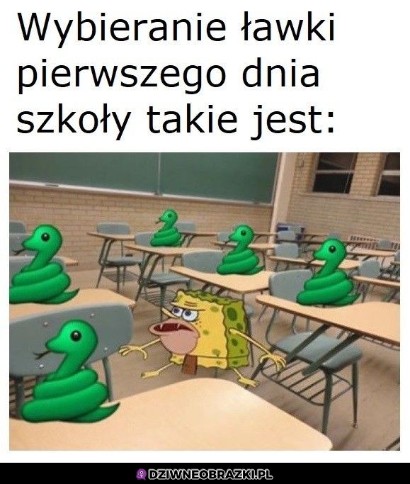 Wybieranie ławki w szkole