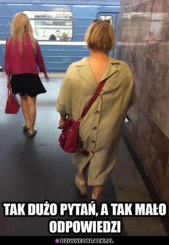 To musiał być ciekawy poranek