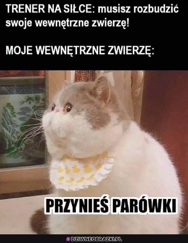 Kiedy wezmę się za siebie