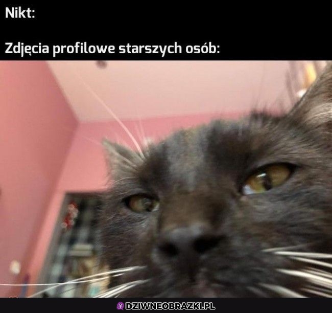 Profilowe starszych ludzi
