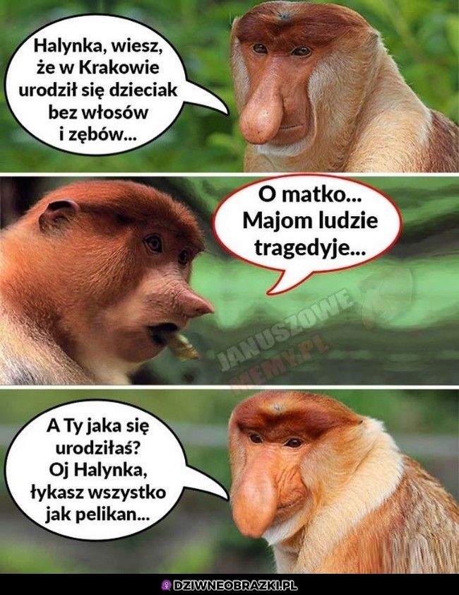 Tragedia