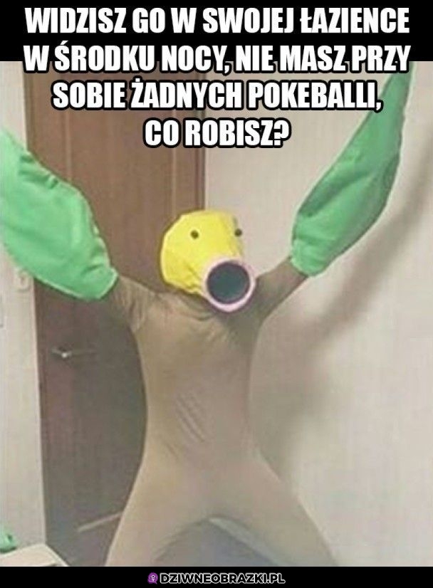 Co robisz?