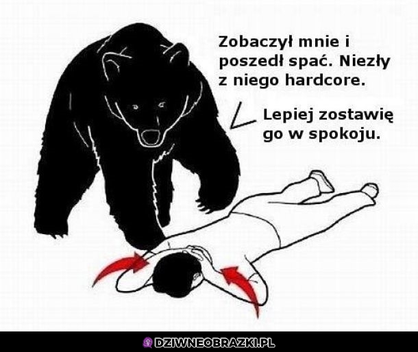 Nie no spoko, niech się wyśpi