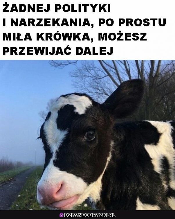 Bez tych rzeczy