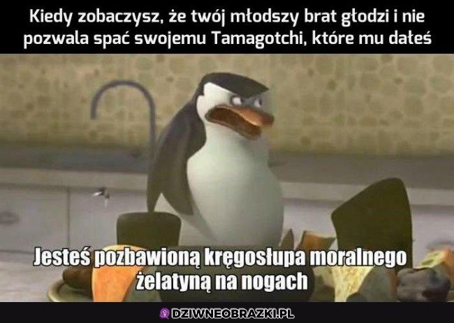 Ten moment