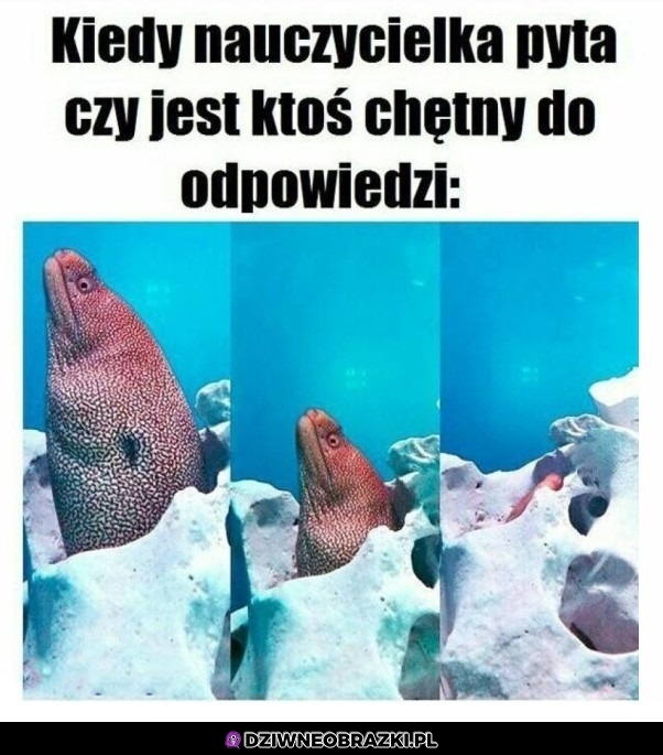 Zabawa w znikanie