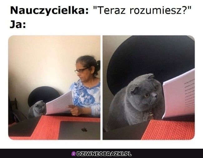 Rozumiesz?