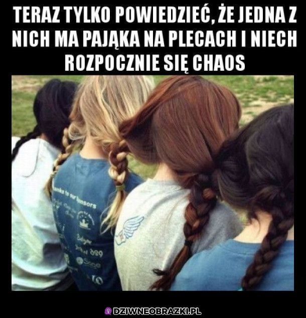 Pajączek