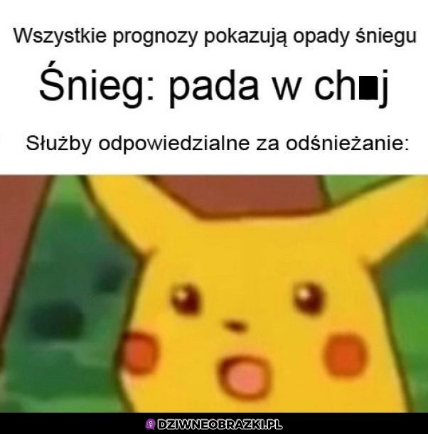 Śnieg