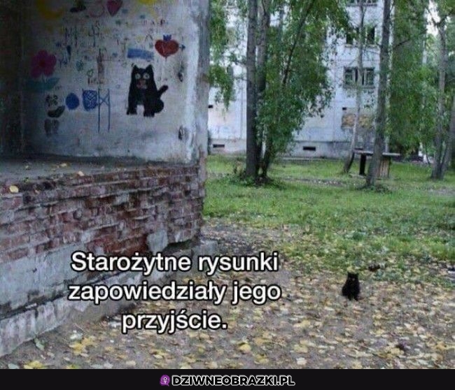 Przepowiedziany
