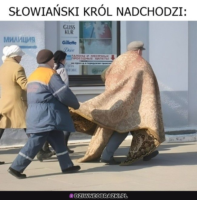 Król 