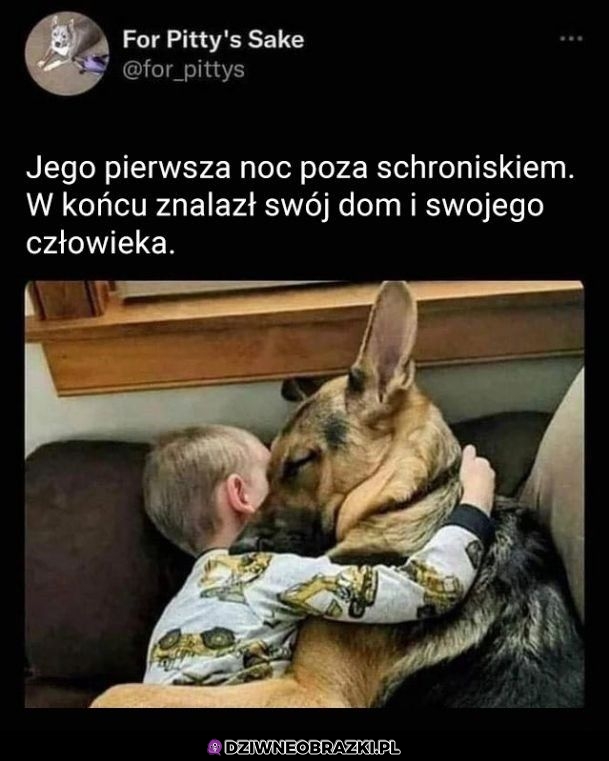Najlepiej
