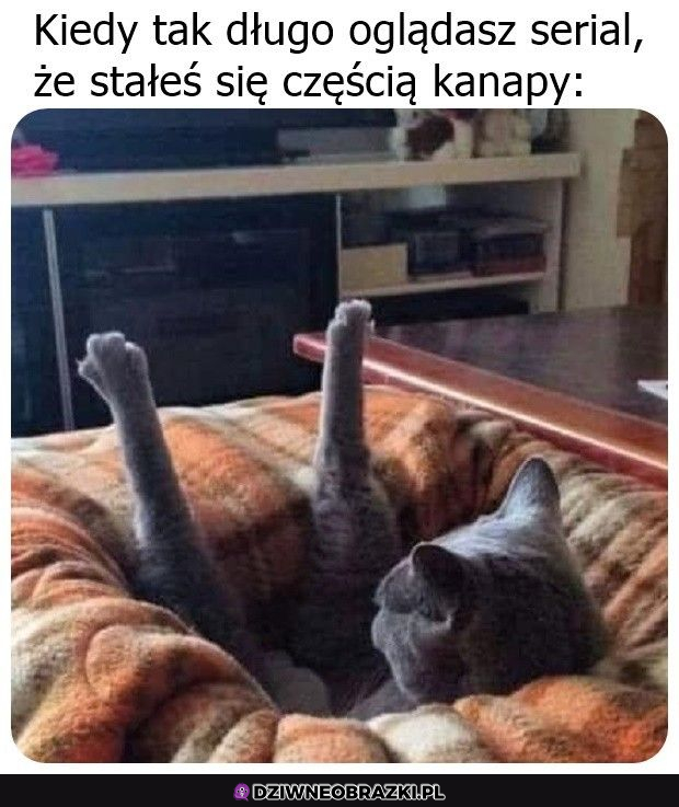 Nigdzie się nie ruszam :P