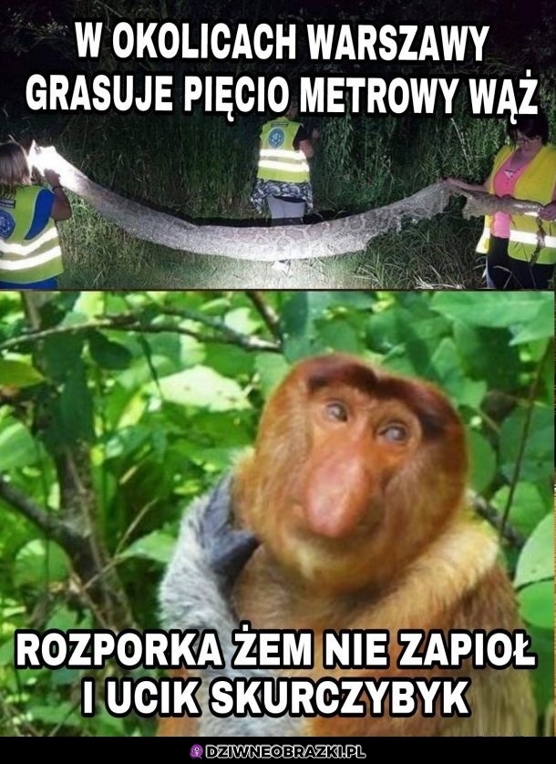 Tak było